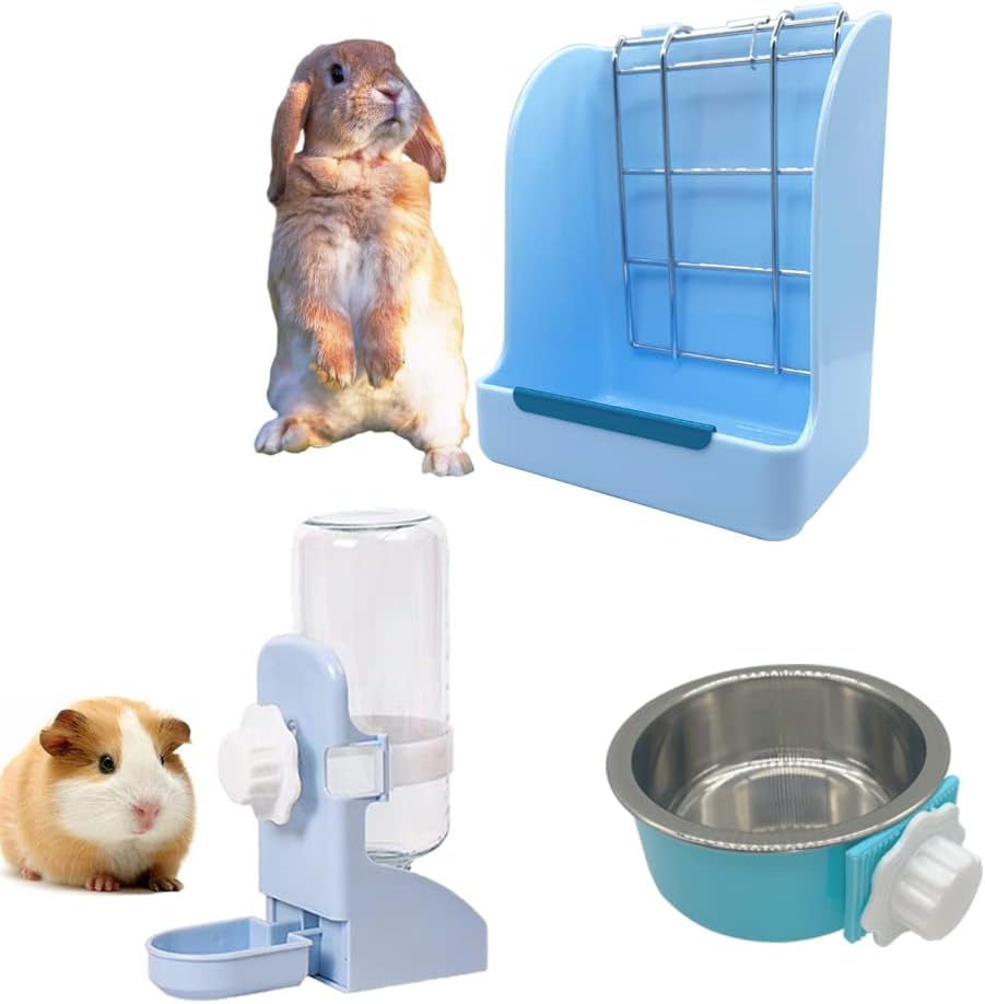 Guinea Pig Water Dispenser | lupon.gov.ph